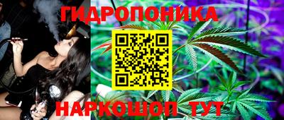 дмт Пушкино