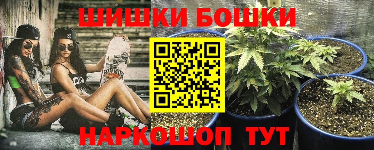 МАРИХУАНА SATIVA & INDICA Новокубанск